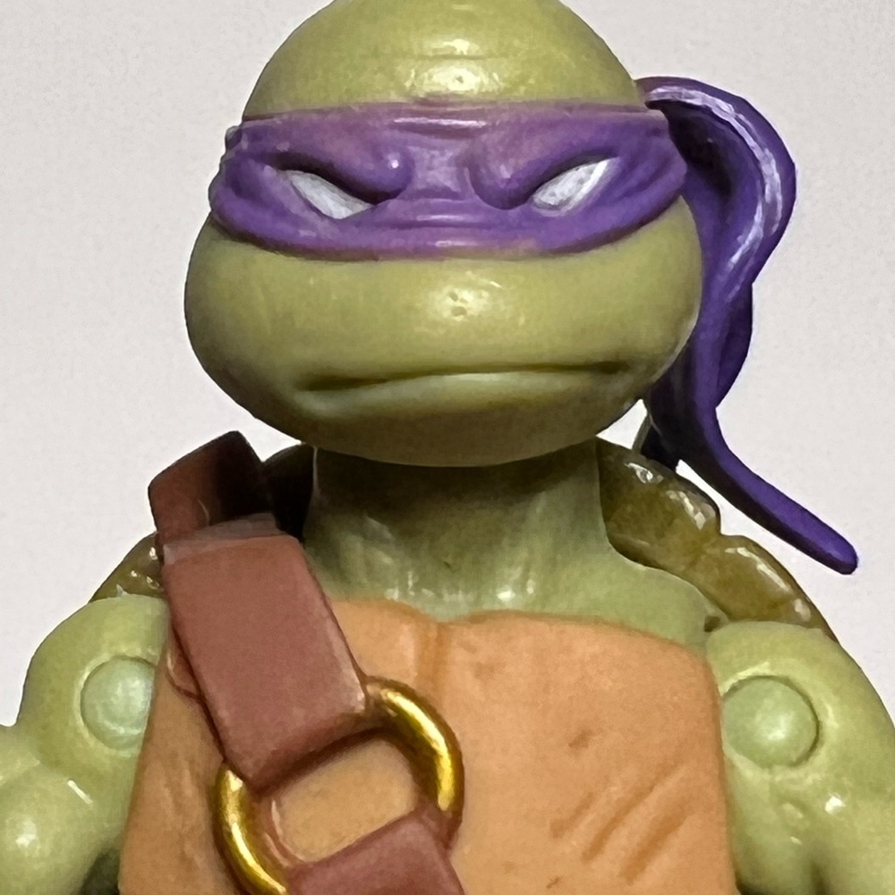 Ninja Turtle Donatello